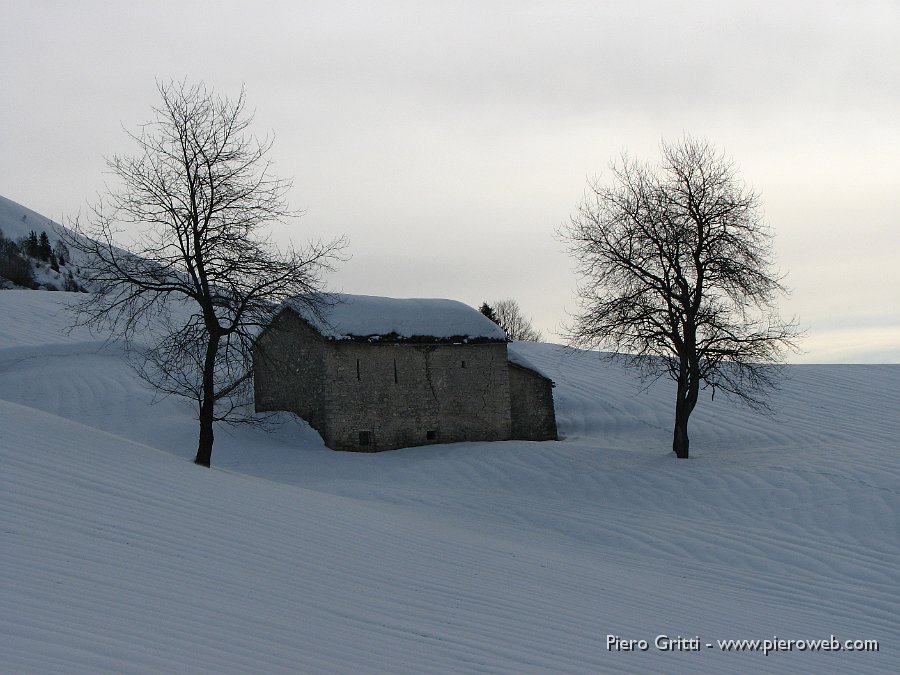 07 Alberi custodi.jpg